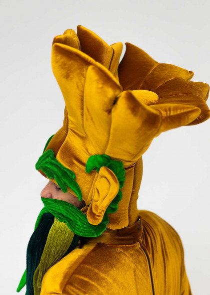 Костюм Лісовичка для аніматора