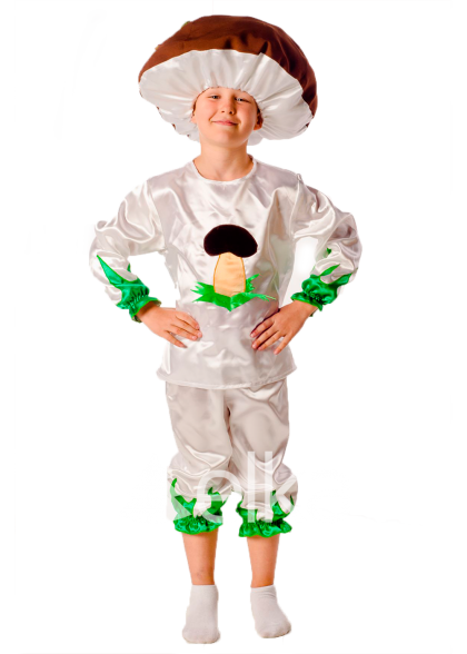 Костюм Гриба боровика для мальчика