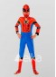 Костюм Спайдермена детский, 100498