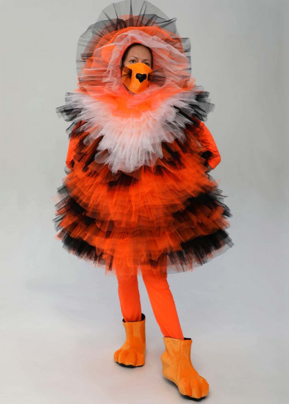 Костюм Ф'єка Тигрулі