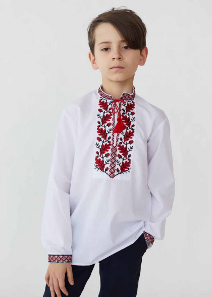 Embroidered shirt for kids Dubochek