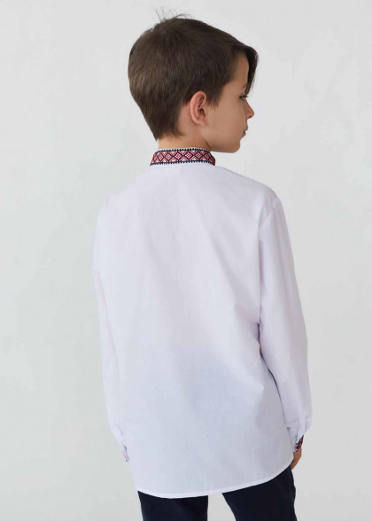 Embroidered shirt for kids Dubochek