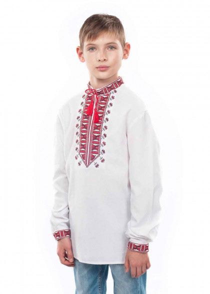 Embroidered shirt for a boy Hetman
