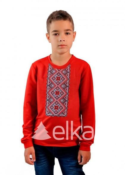 Embroidered long sleeve shirt Desna