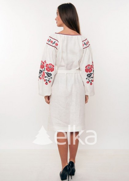 Embroidery dress