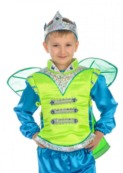 Kids Elf costume for a boy