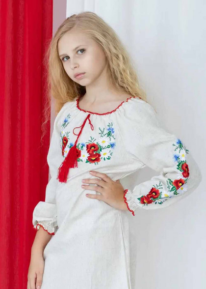 Embroidered dress Romashka