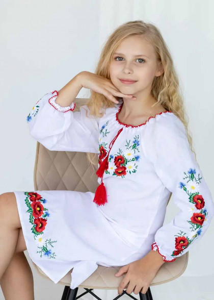 Дитяча вишита сукня Ромашка