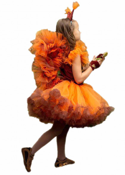 Костюм Білочки в садок