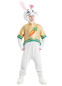 Костюм Зайчик Пасхальный, 110251, размер ONE SIZE