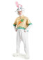 Костюм Зайчик Пасхальный, 110251, размер ONE SIZE