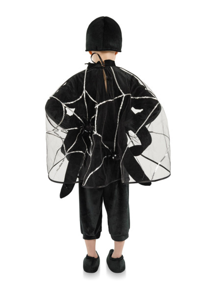 Павук дитячий