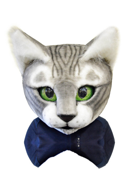 Голова сірого кота