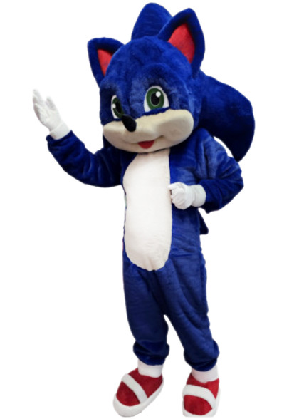 Сонік ростовий костюм