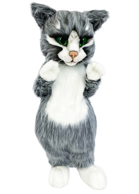 Кот Крони ростовой костюм