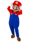 Супер Маріо Костюм, 550270