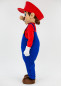 Супер Маріо Костюм, 550270