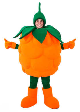 Ростовой костюм Ягодка