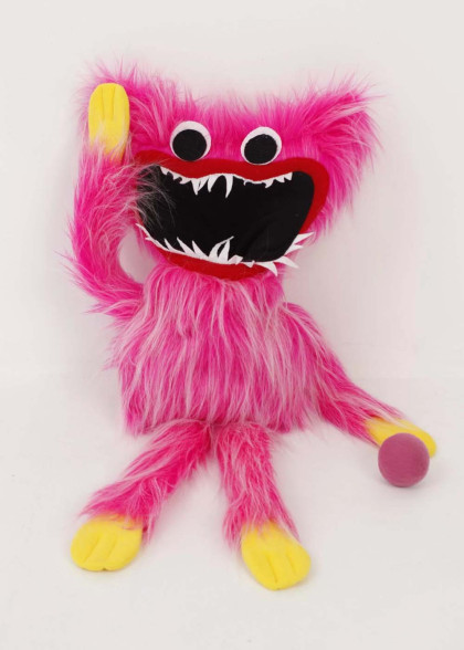 Кісі Місі єшка