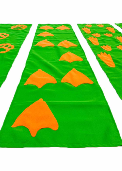 Доріжка Сліди Тварин