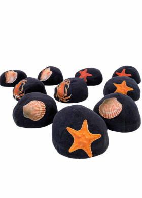 Ракушка с заданиями