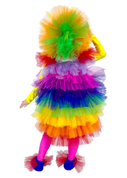 Веселка костюм Ф'єк