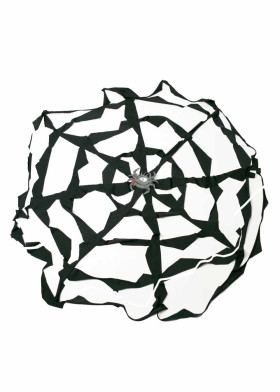 Паучная сеть