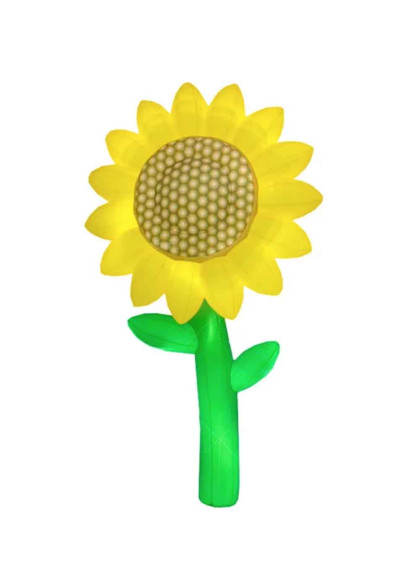 Соняшник надувний