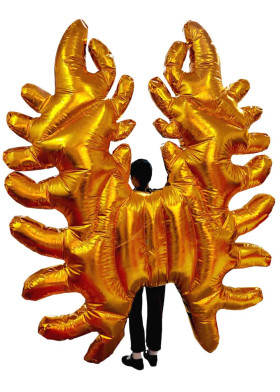 Золотые надувные крылья