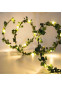 Лиана LED гирлянда, A1092