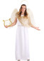 Костюм Небесного Ангела, HC1029, размеры S, M, L, XL