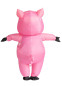 Надувной костюм Свинки, HC1156