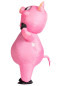 Надувной костюм Свинки, HC1156