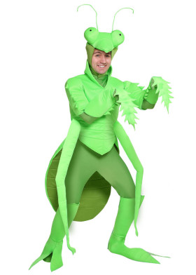 Костюм Богомола