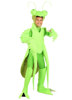 Детский костюм Богомола