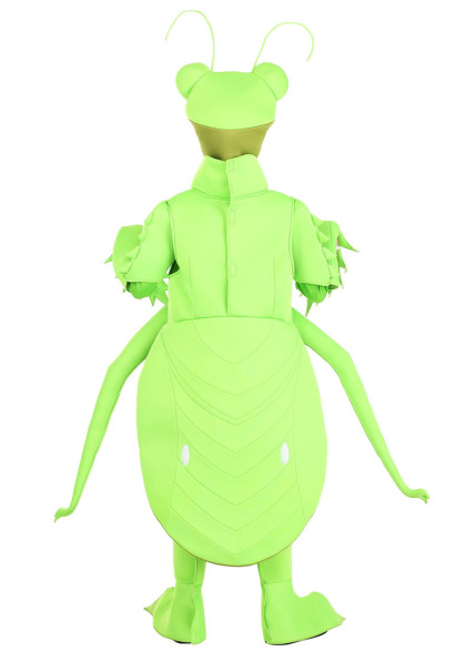 Дитячий костюм Богомола