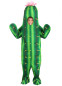 Кактус костюм , HC1515, размеры 5-6 лет, 7-8 лет, 9-10 лет, 11-12 лет, 13-14 лет