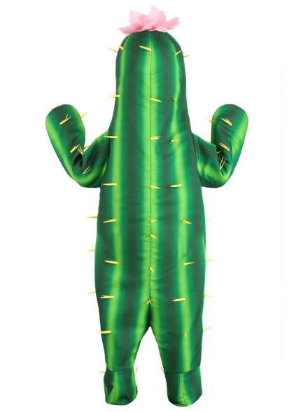 Кактус костюм 