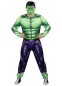 Мужской костюм Халк, HC1605, размеры M, L, XL