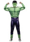 Мужской костюм Халк, HC1605, размеры M, L, XL
