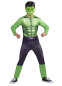 Дитячий костюм Халк, HC1606, розміри 5-6 років, 7-8 років, 9-10 років, 11-12 років, 13-14 років