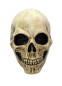 Маска костлявого черепа, HC3017