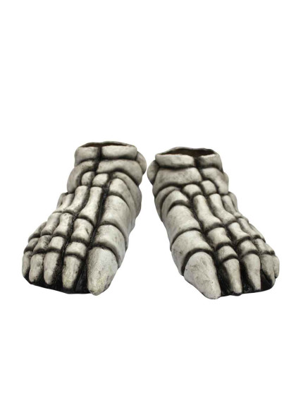 Ноги скелета