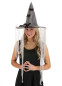 Капелюх відьми з павуками, HC3057