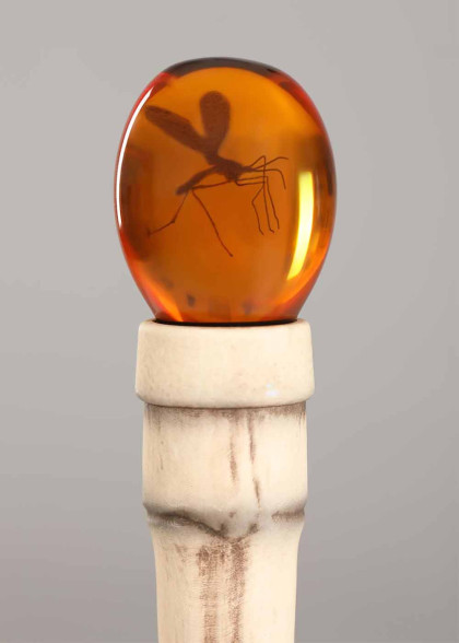 Тростина із Юрського Періоду