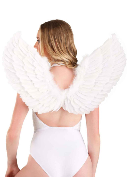 Божественні крила Янгола