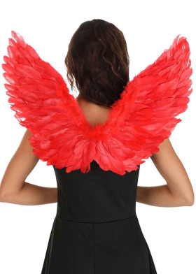 Дьявольские крылья ангела