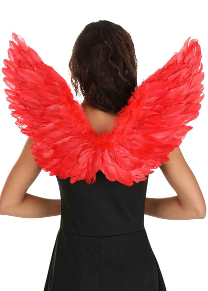 Диявольські крила янгола