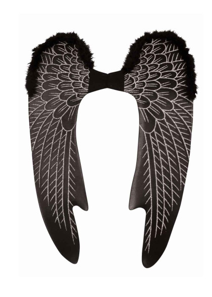 Великі крила Янгола