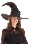 Шляпа ведьмы Гертруды, HC3341